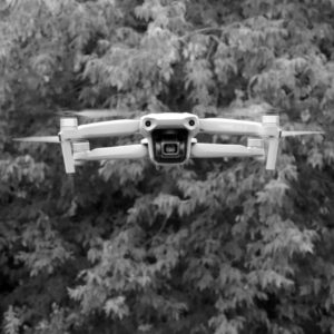 Flight Training Session